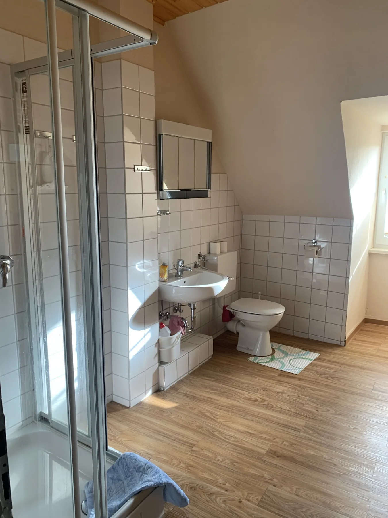 Badezimmer mit Dusche und WC